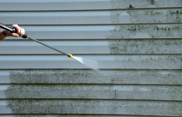Best Driveway Pressure Washing  in Victory Lakes, NJ